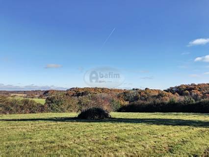 Property for sale Tarbes Haute Pyrenees