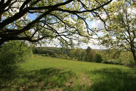 Property for sale Fleurac Dordogne