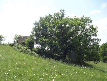 Property for sale Biron Dordogne