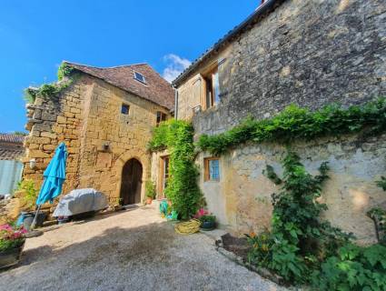 Property for sale Saint-Avit-Senieur Dordogne