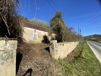 Property for sale Campagne Dordogne