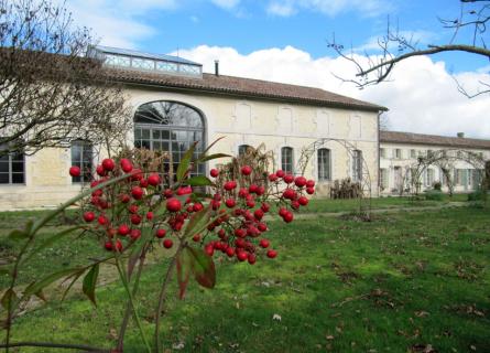 Property for sale Meschers Sur Gironde Charente-Maritime
